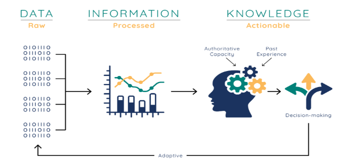 Data to Information to Knowledge Flow
