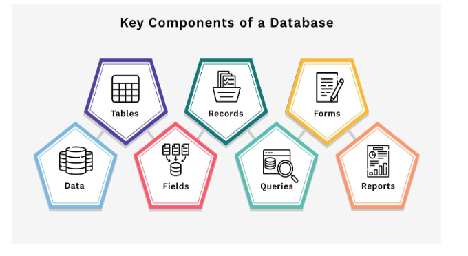 Key Components of a Database