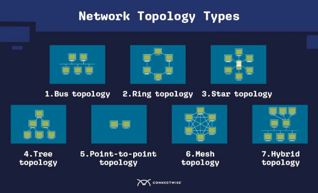 Network Topology Types